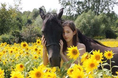 horse animal girl