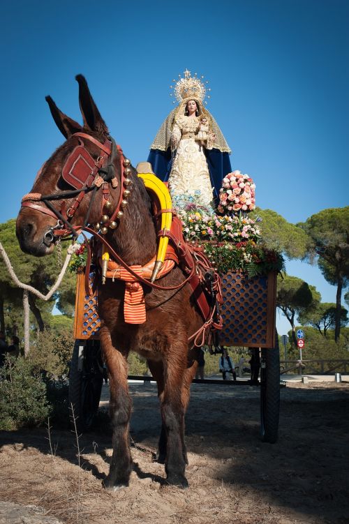 horse festival sainte