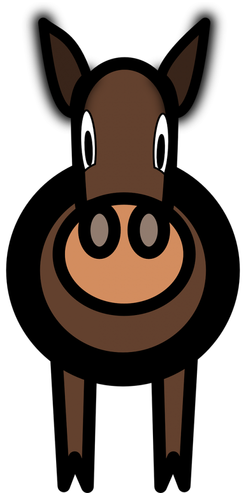 horse mule animal
