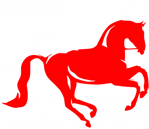 horse bridle dressage
