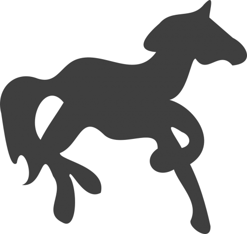 horse galopp caroussel