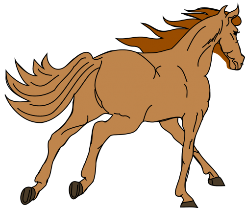 horse pony race
