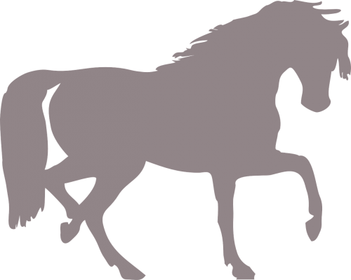 horse silhouette isolated