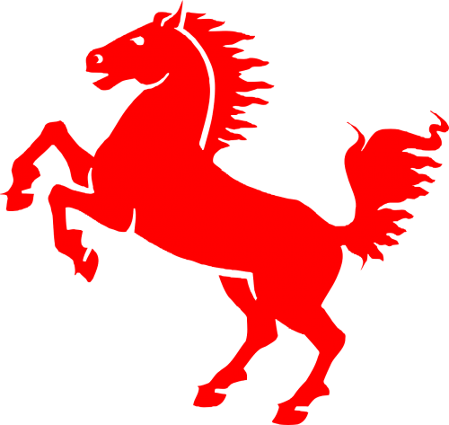 horse stallion equestrian