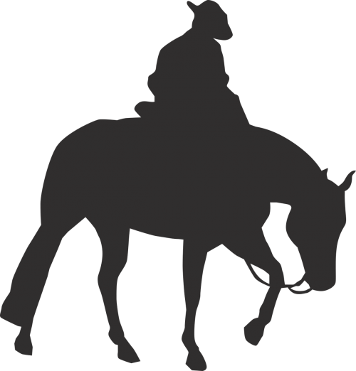 horse cowboy horseback riding