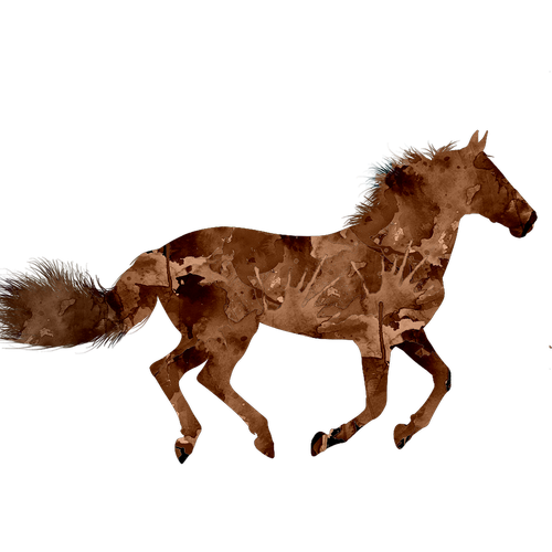 horse  animal  brown horse