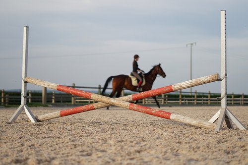 horse  ride  reiterhof