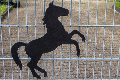 horse  ornament  fence