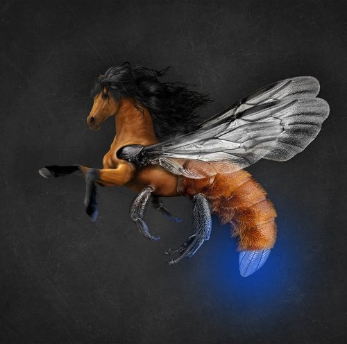 horse  science fiction  photomanipulation