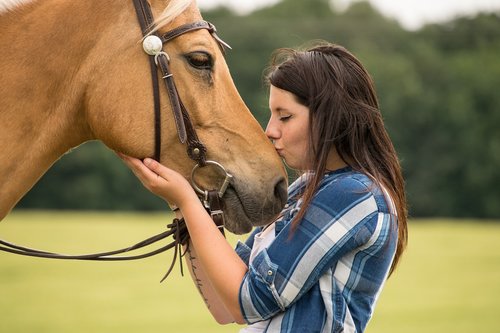 horse  trust  love