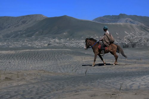 horse  sand  ride