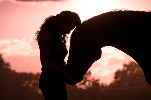 horse  woman  animal