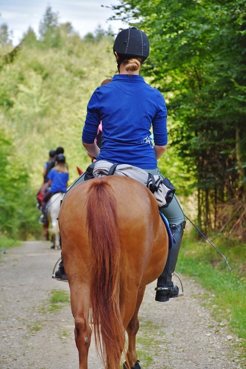 horse  reiter  ride