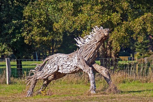 horse  wood  nature