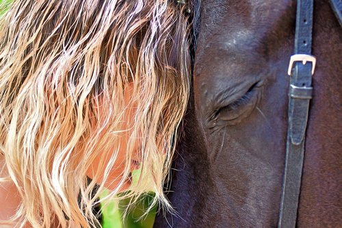 horse  hair  woman