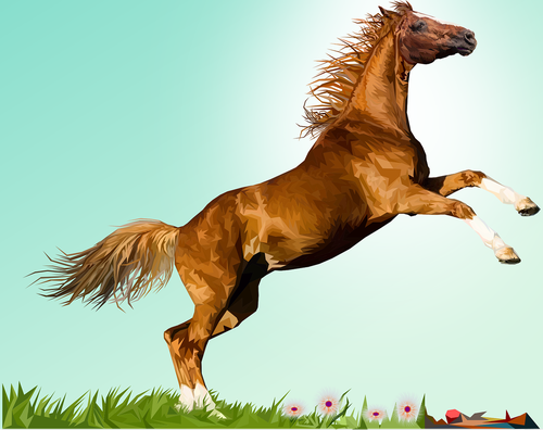 horse  prancing  animal
