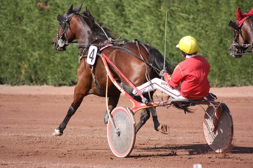 horse  jockey  race