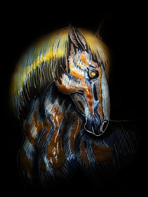 horse  stallion  cicindela