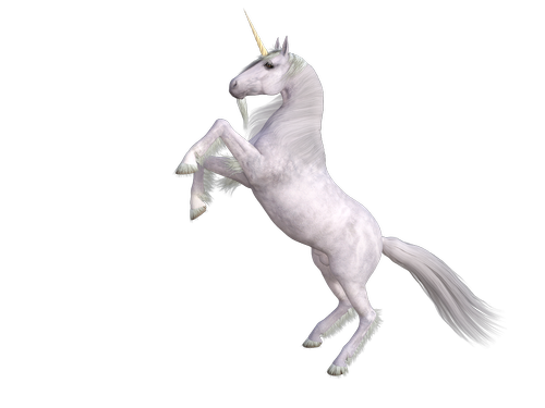 horse  unicorn  animal