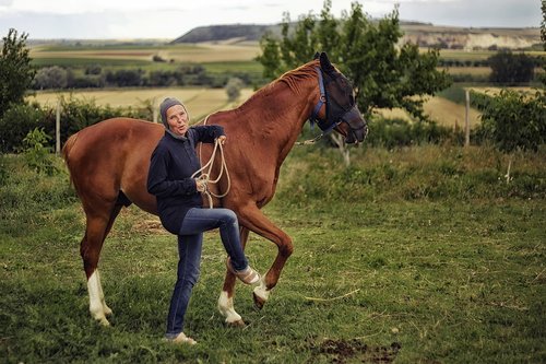 horse  animal  horsewoman