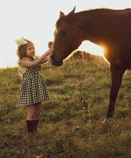 horse  sunset  girl