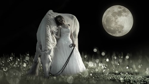 horse  girl  full moon
