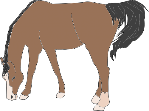 horse brown animal