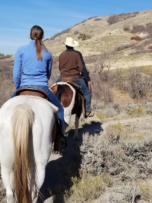 horse  riding  nature