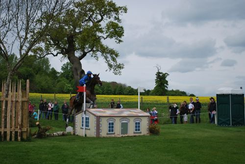 horse cross country show jumping