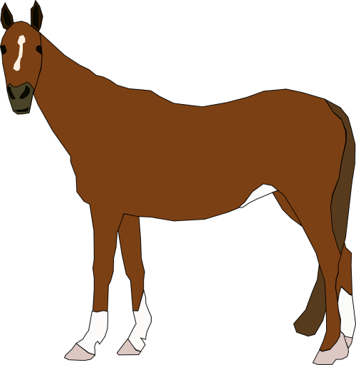 horse animal equine