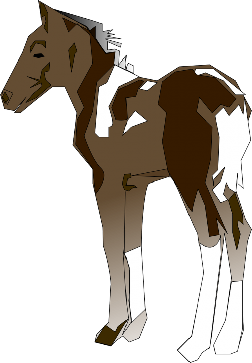 horse standing animal