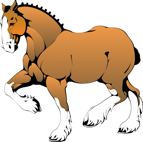 horse animal mammal