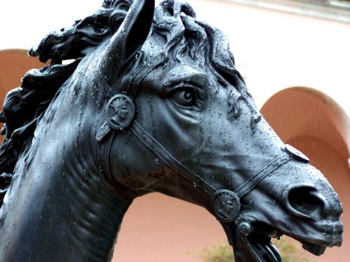 horse rain statue