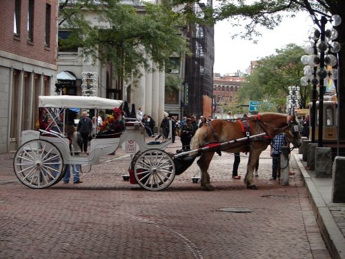 horse carriage boston