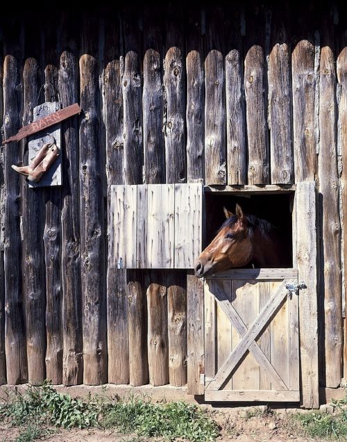 horse barn door