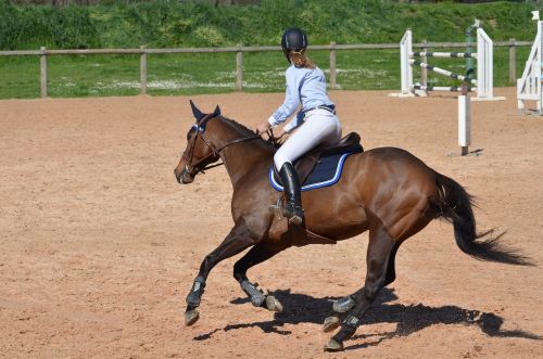 horse horseback riding competition