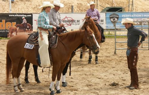 horse cowboy riders