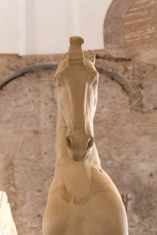 horse statue rome