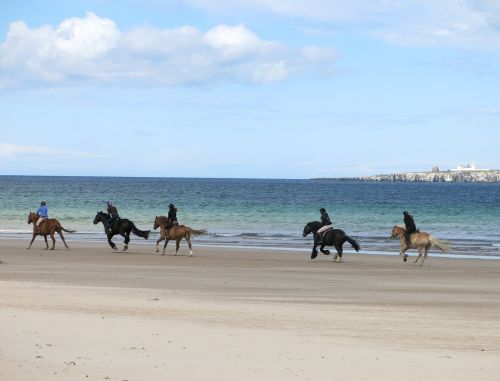 horse riding beach