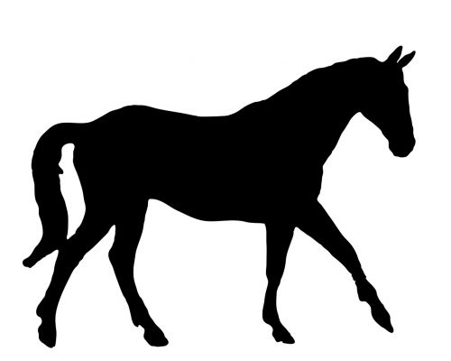 horse walking equine