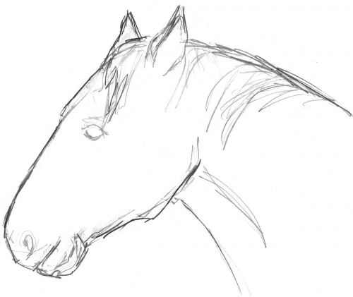 horse head horse head