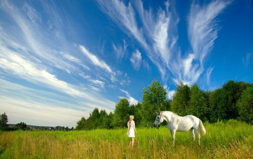 horse girl meadow