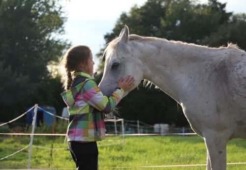 horse girl friendship