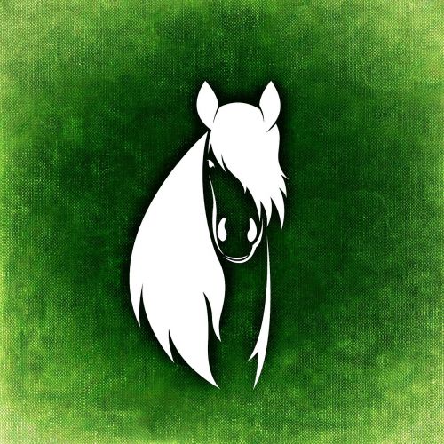 horse abstract mane