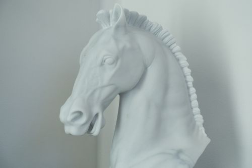 horse marble horse head