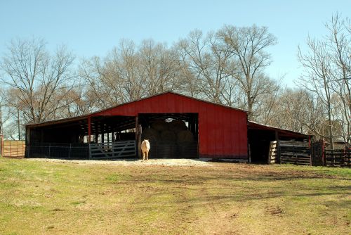 Horse And Barn