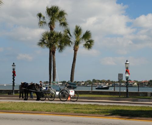 Horse And Carriage