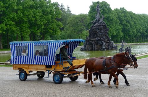 horse and cart wagon transportation