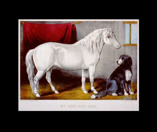 Horse &amp; Dog Painting