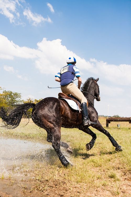 horse and rider cornering at speed water jump eventing